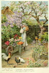 Lentebloesems, uit de Pears Annual, 1902